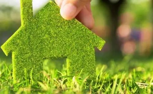 1553914774399730.jpg 1.jpg