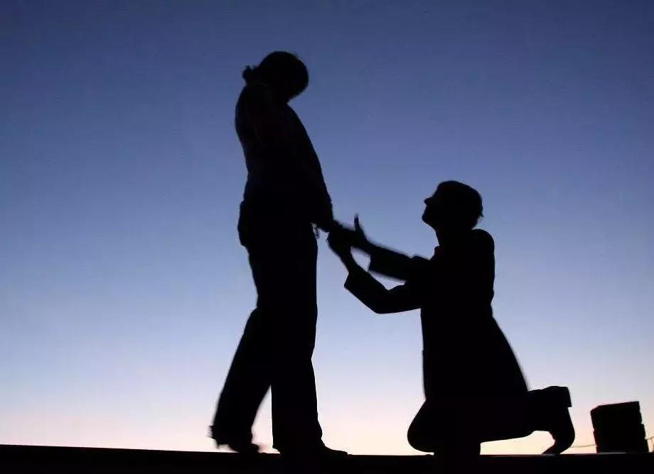 1553917087893073.jpg 5.jpg